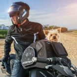 BAGSTER Puppy tankvédőre rögzíthető kutya, kisállat szállító tanktáska